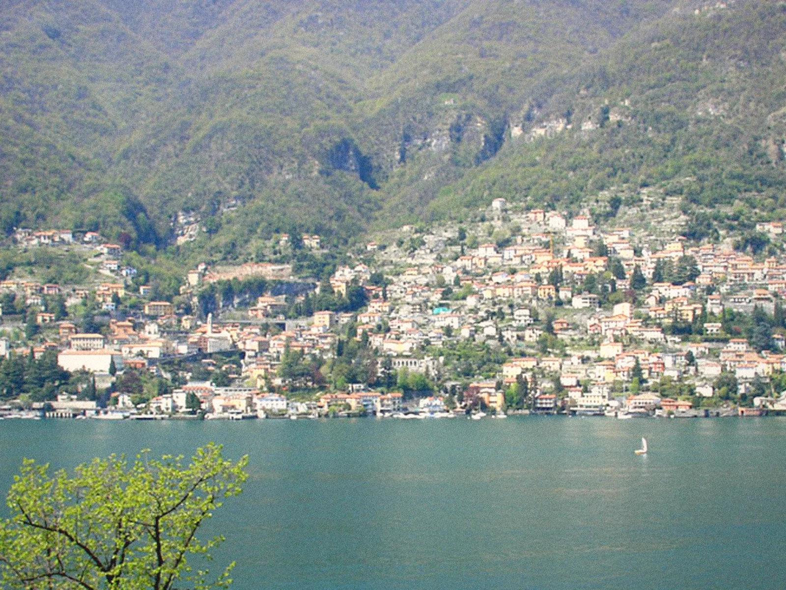 The village of Moltrasio climbing the green hillside above Lake Como
