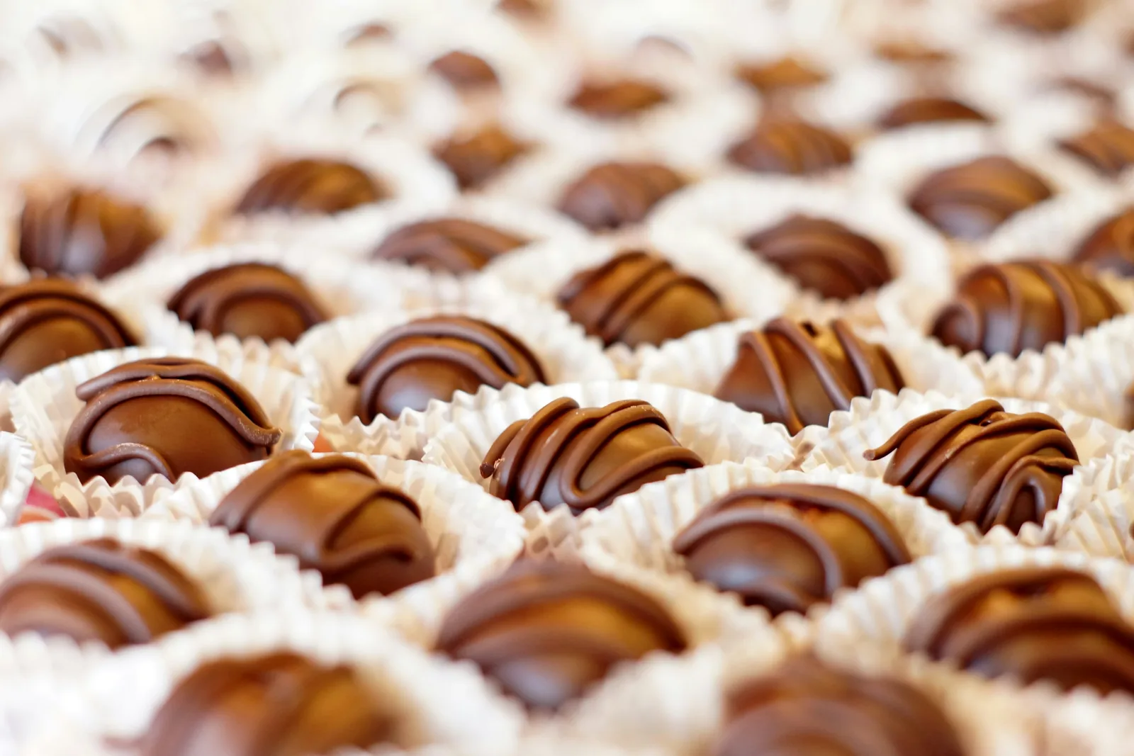 Rows of glossy handmade chocolate bonbons in paper cups