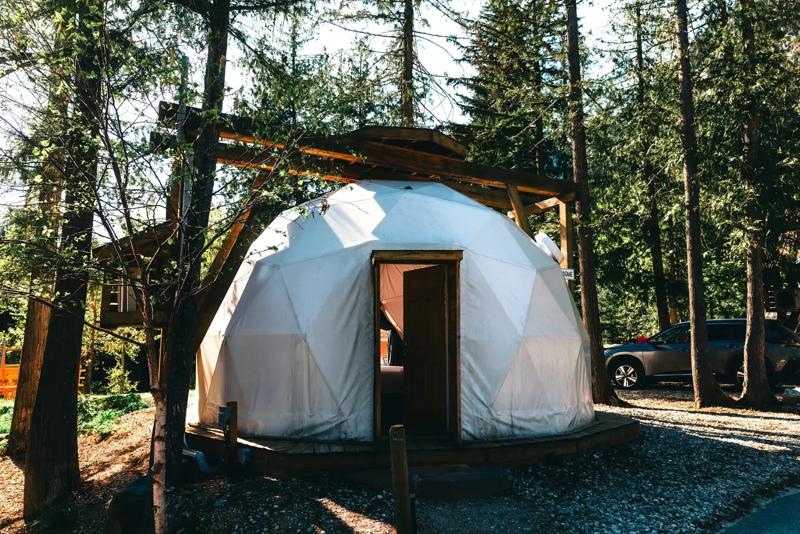 A white geodesic dome with a wooden door among tall evergreen trees