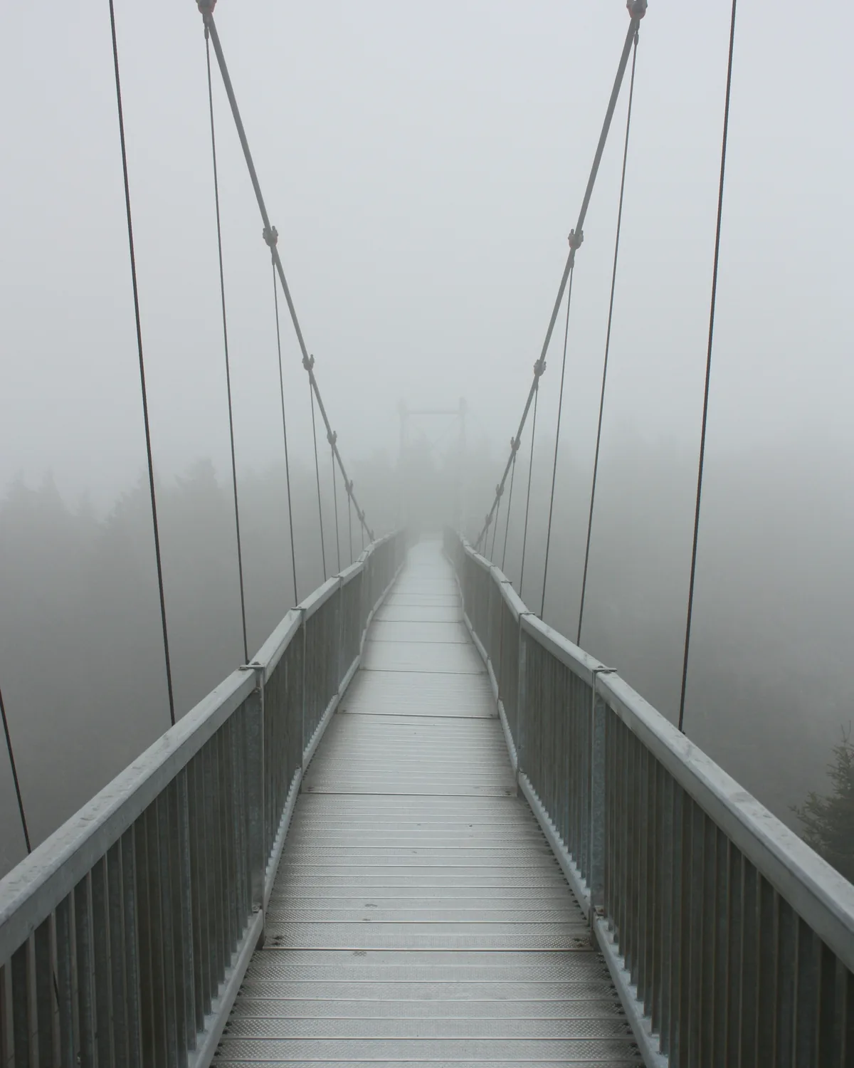 The Mile High Swinging Bridge on Grandfather Mountain disappearing into fog