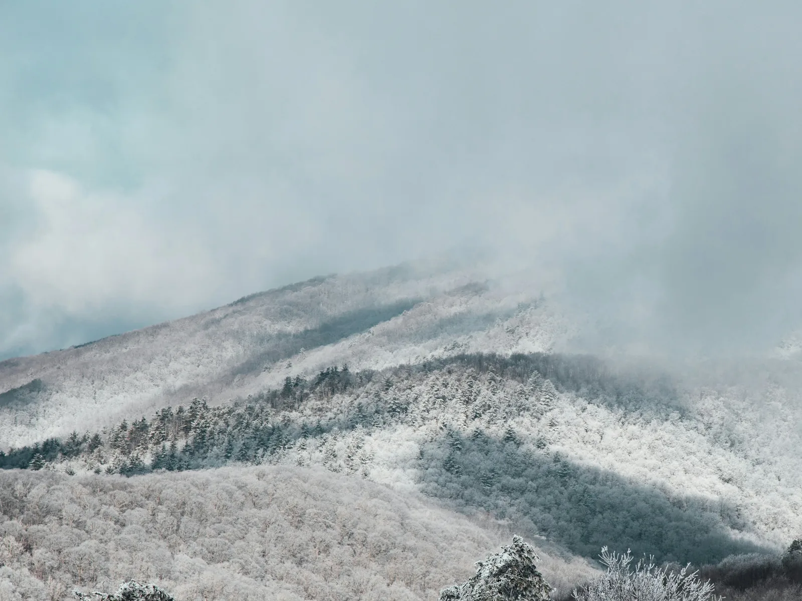 Frosted, rime-covered slopes of the North Carolina mountains under low winter clouds at Max Patch