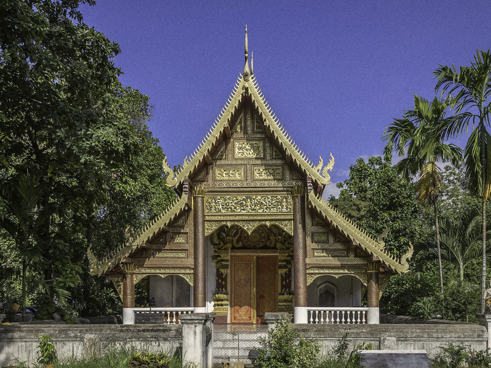 A carved golden Lanna-style temple hall at Wat Chiang Man in Chiang Mai, framed by palms