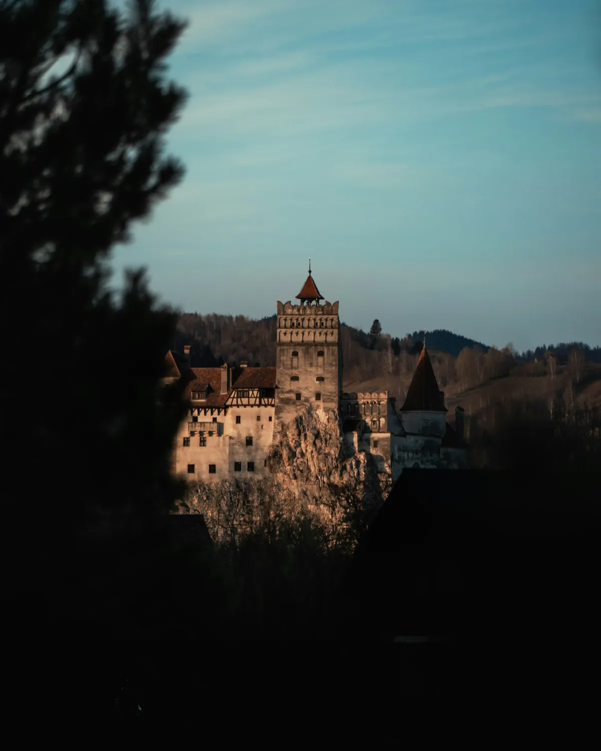 Bran Castle silhouetted on its hill at dusk, a few windows lit, dark pines in the foreground
