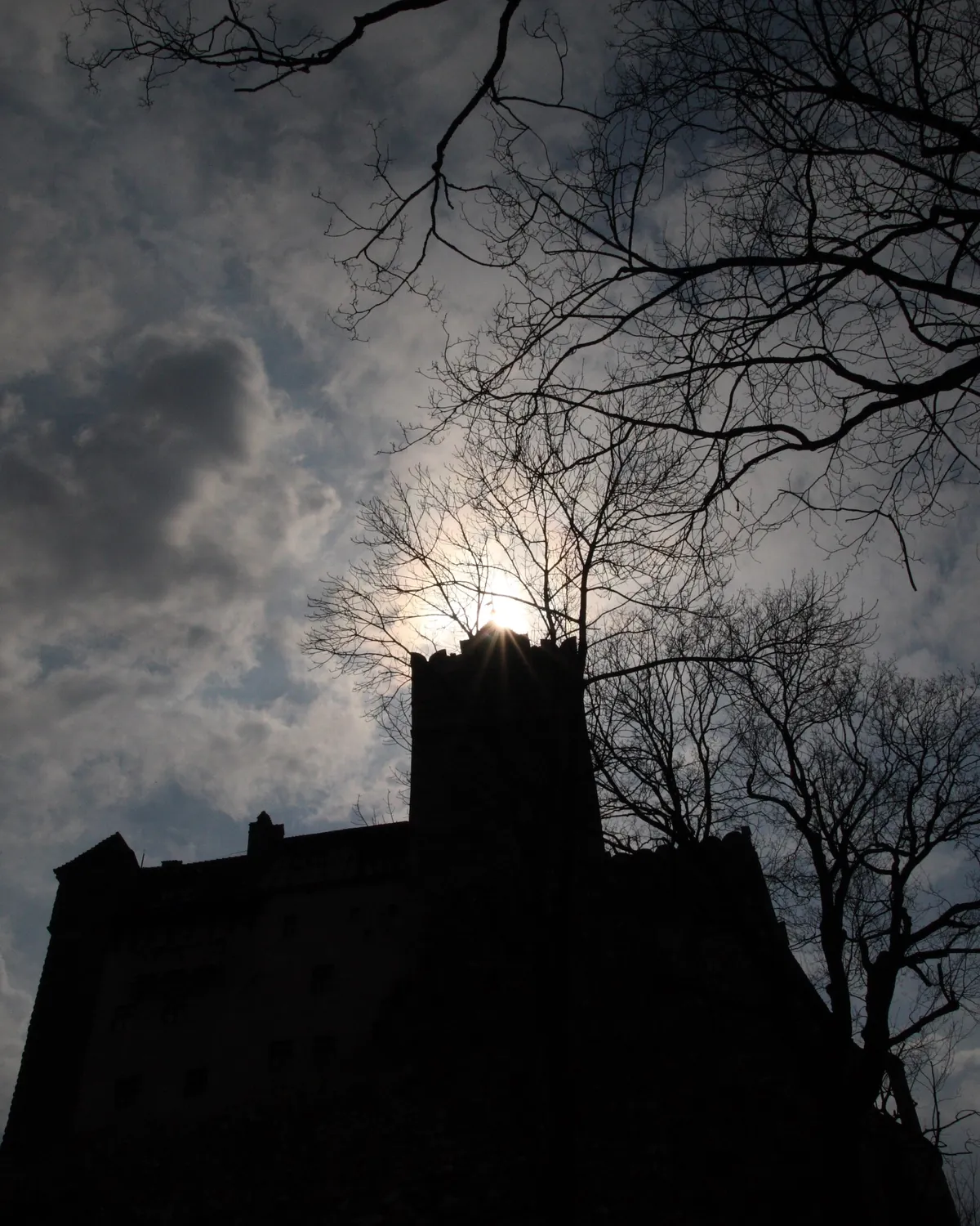 A dark castle tower against a stormy, moonlit sky framed by bare branches at Bran