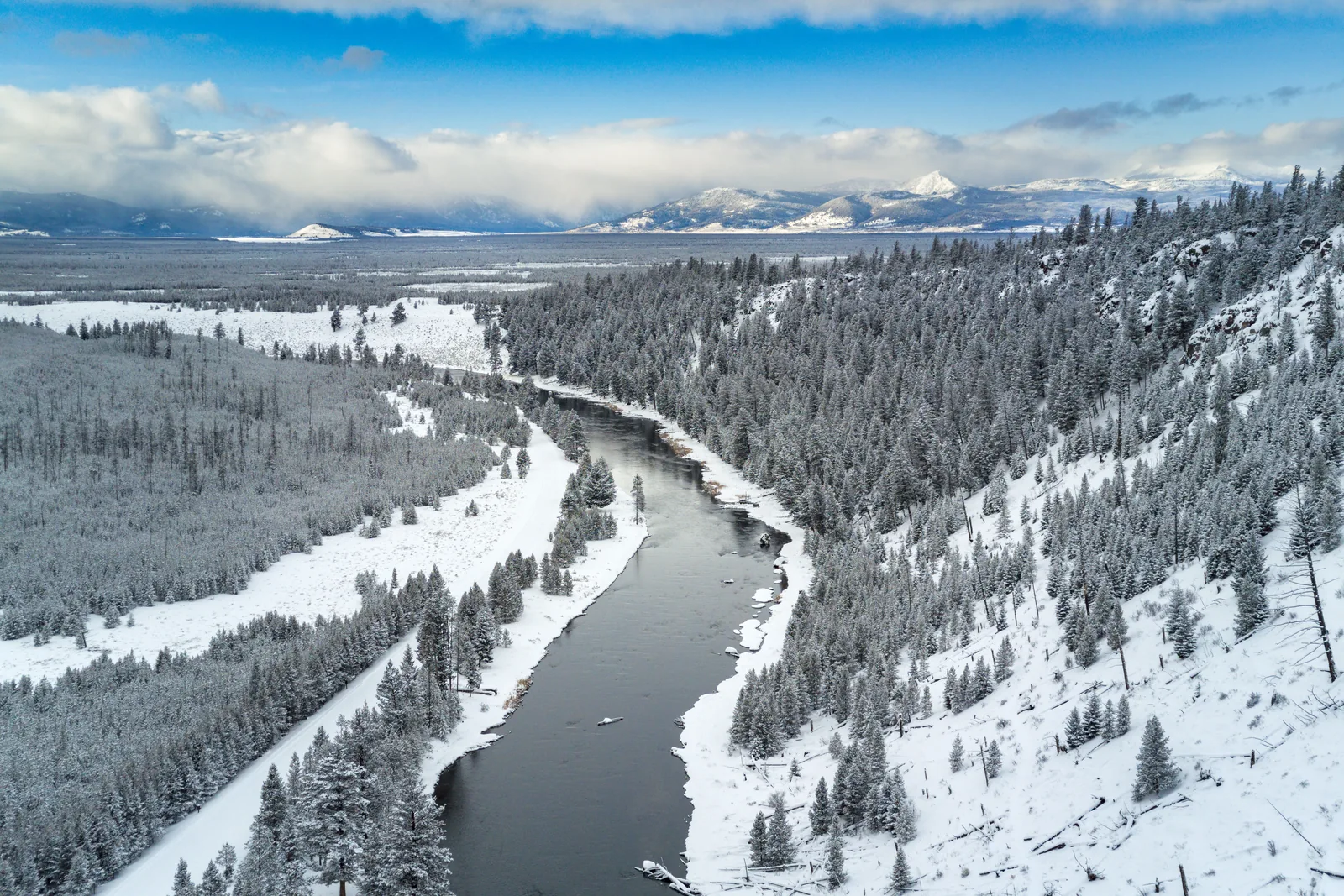 The snowy Gallatin Range above a river winding through frosted evergreens after a snowstorm