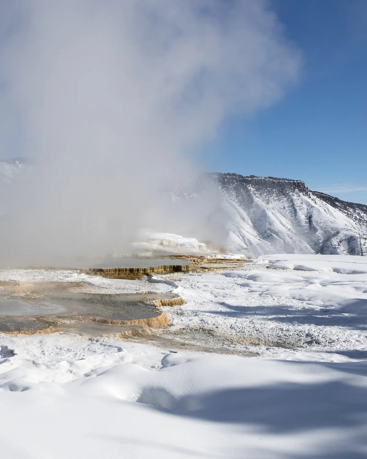 Steam drifting over the snowy travertine terraces of Mammoth Hot Springs under a blue winter sky