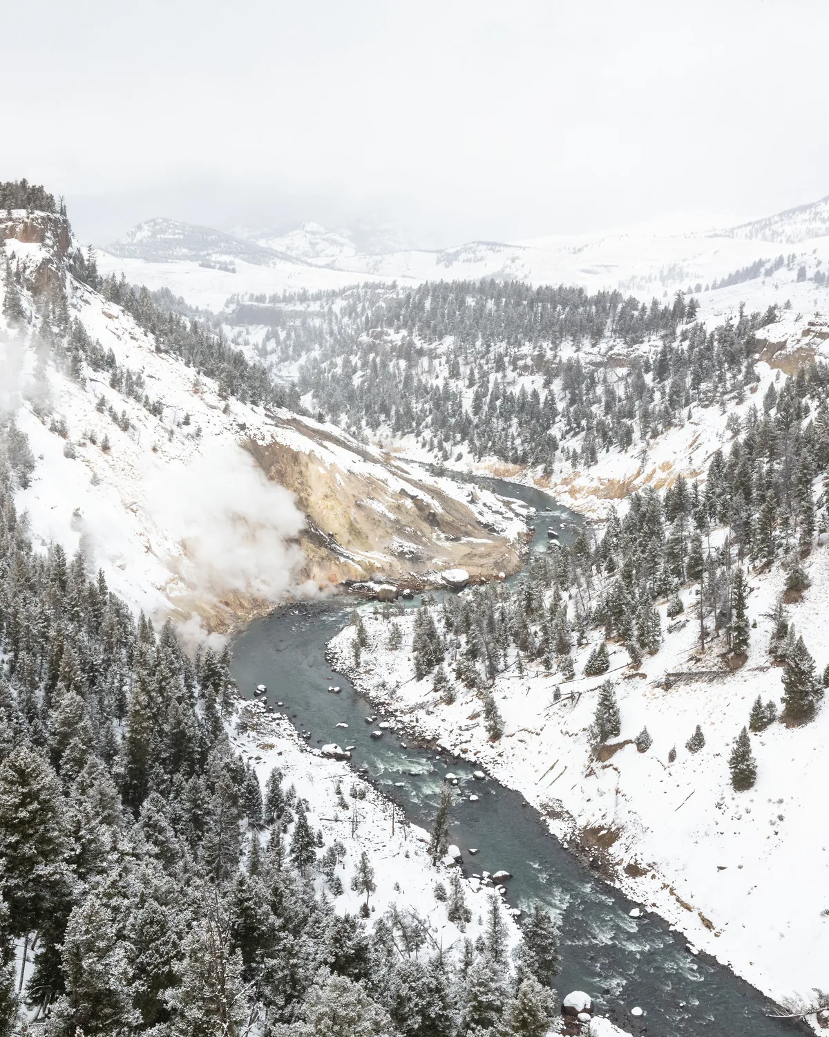 The Yellowstone River winding through a snowy canyon lined with frosted pines