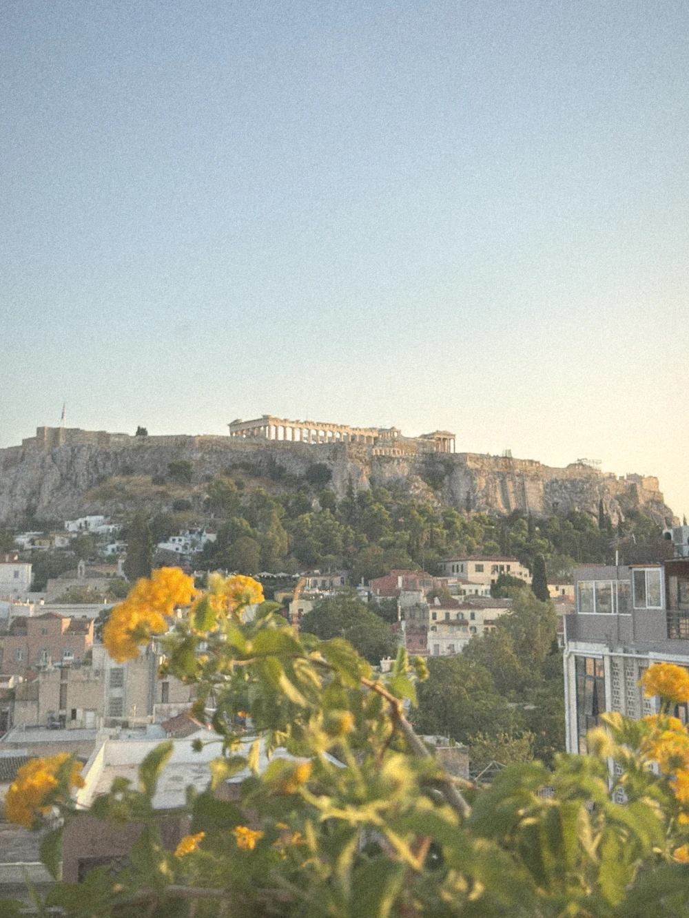 The Acropolis glowing at golden hour above the rooftops of Athens