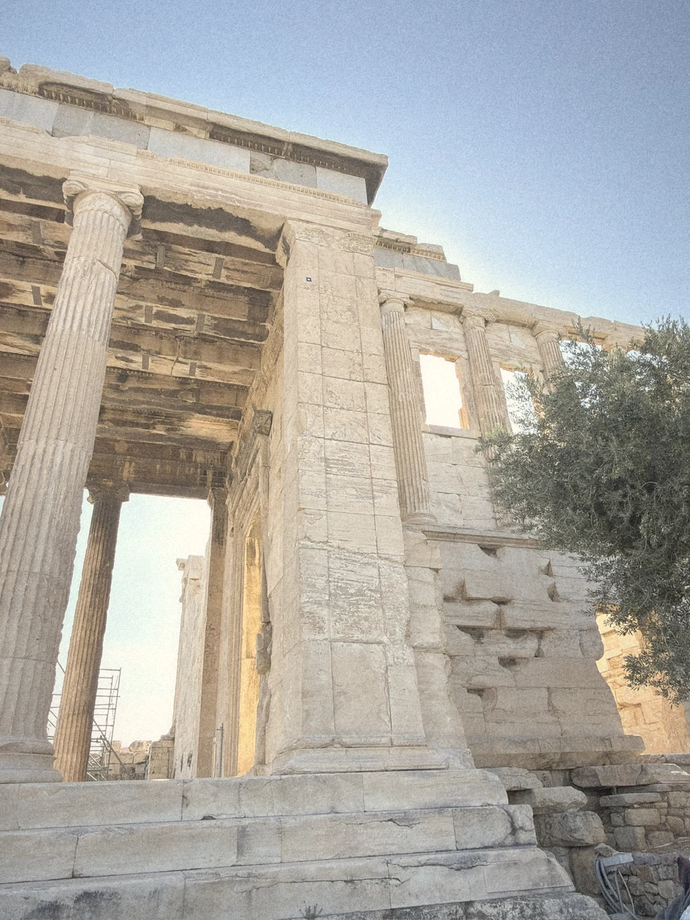 The Ionic columns of the Erechtheion with an olive tree beside the temple