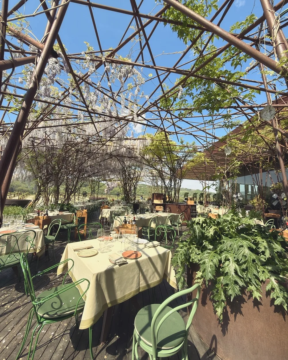 Tables under a wisteria-covered pergola on a Chianti winery terrace