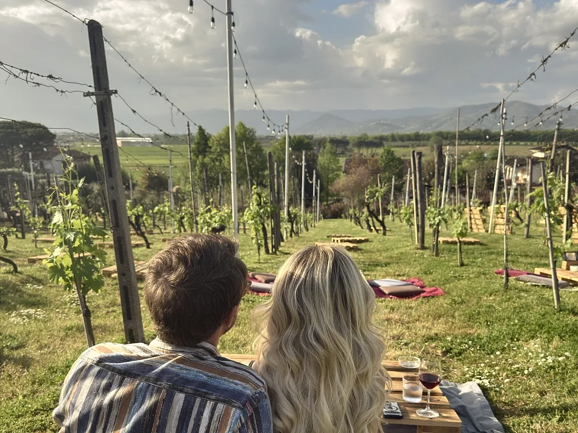 A couple seen from behind on a picnic blanket between young vines, Tuscan hills and string lights beyond