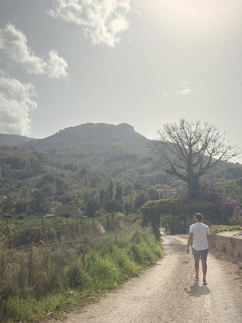 A man walking away down a quiet country lane between green fields and stone walls, towards a wooded hill