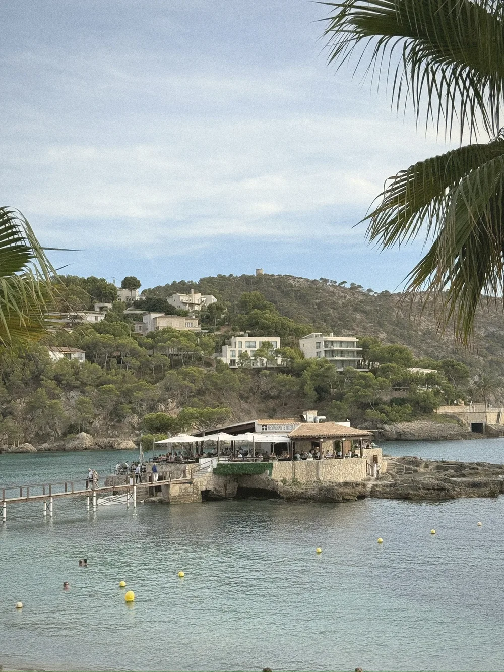 Restaurant Illeta's terrace on a small rocky island in Camp de Mar bay, framed by palm fronds and wooded hills