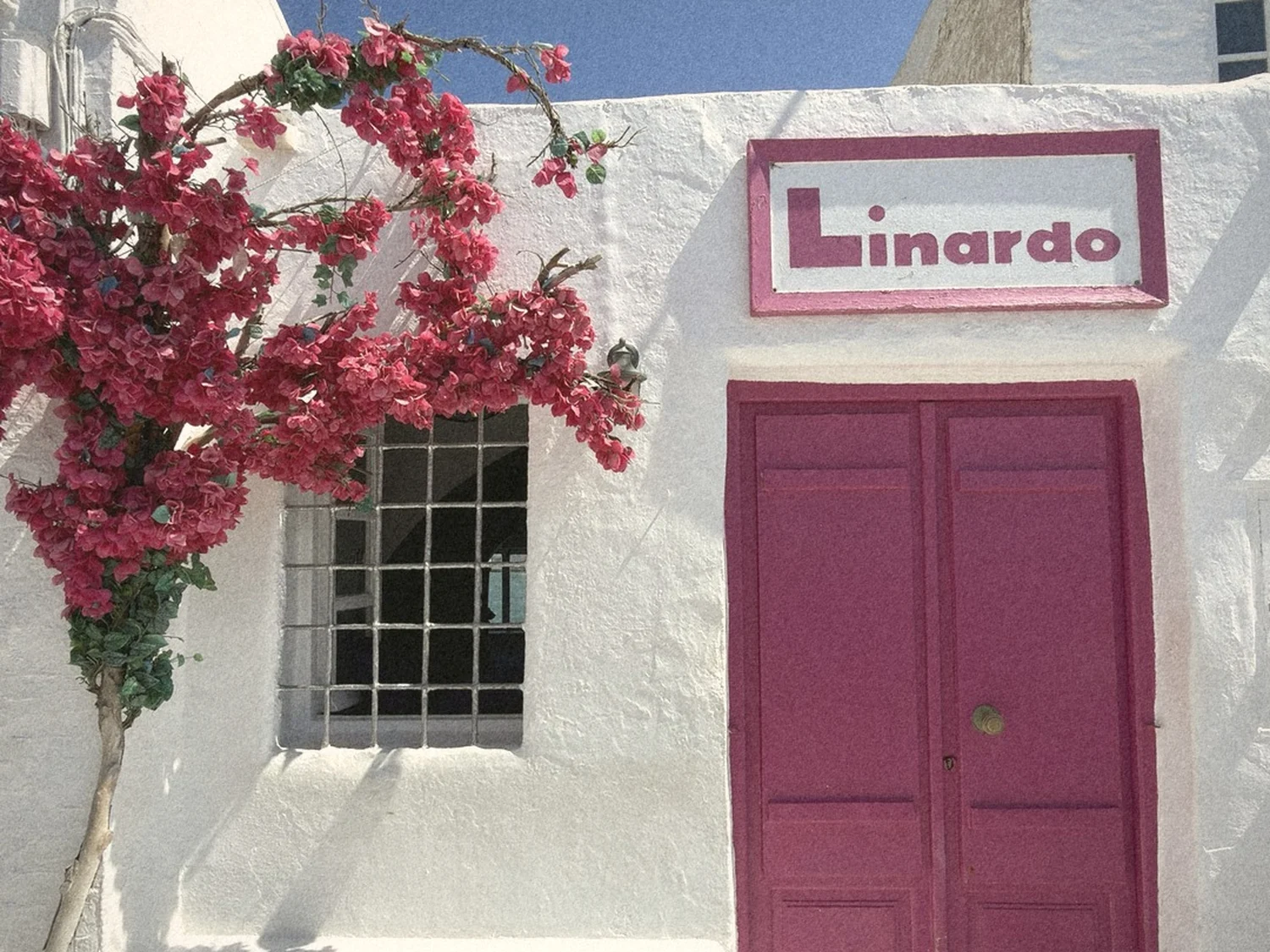 A raspberry-pink double door and bright bougainvillea on a whitewashed wall in Naoussa, Paros