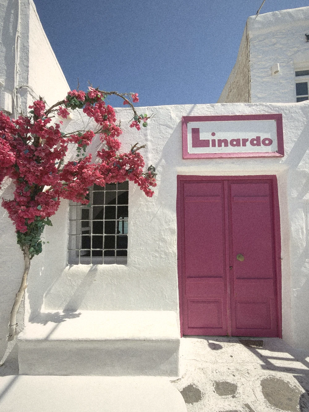 A whitewashed shopfront with a magenta door and pink bougainvillea