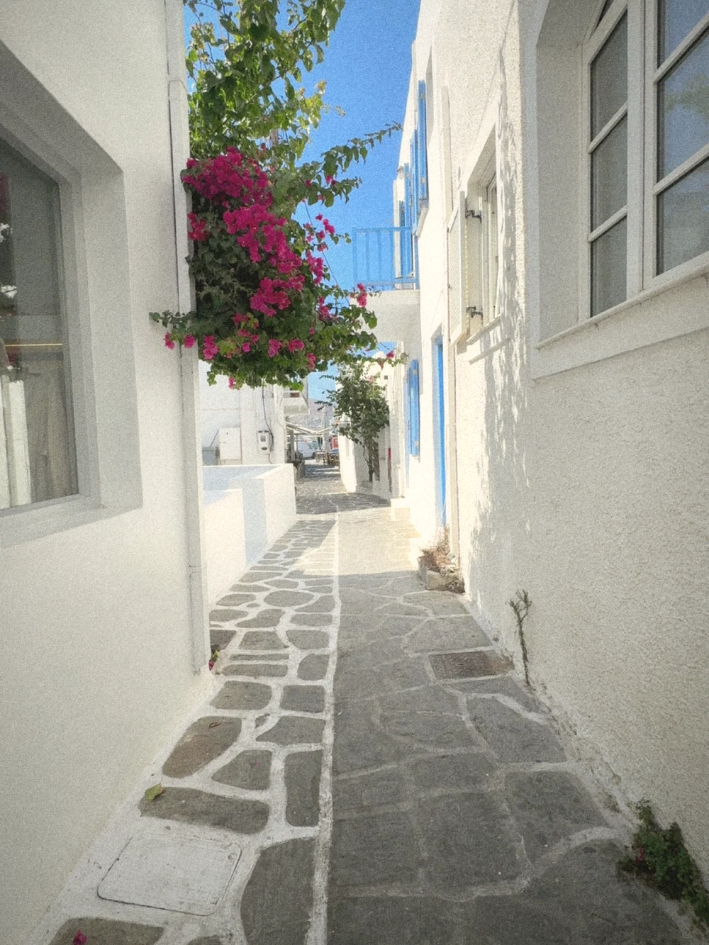 A narrow whitewashed lane with stone paving and a burst of pink bougainvillea