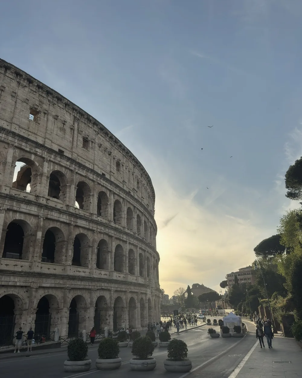The curved outer wall of the Colosseum at sunset, a soft gold light behind it