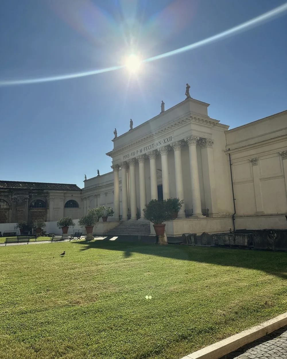 A sunlit lawn and neoclassical facade in a Vatican Museums courtyard under a bright blue sky