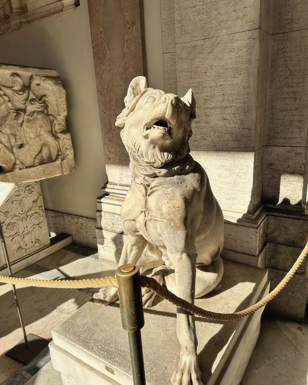 An ancient marble sculpture of a seated hound in the Vatican Museums