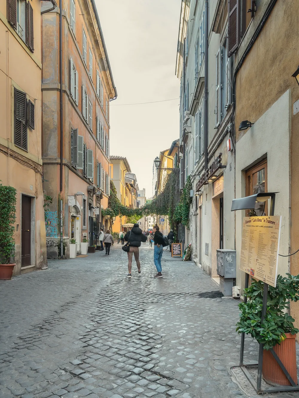 A cobbled lane of Via della Lungaretta in Trastevere with plants and shutters