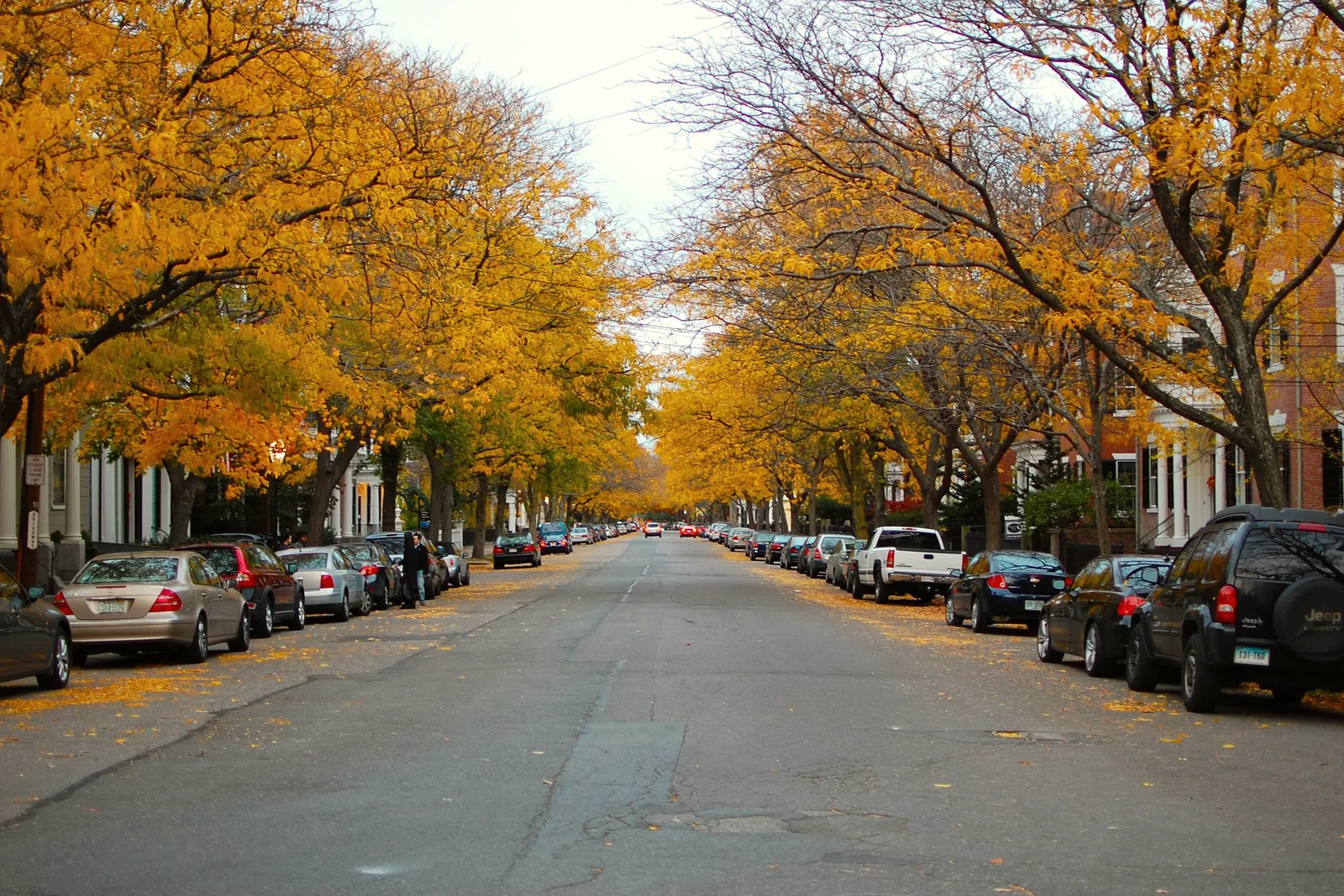 Chestnut Street in Salem lined with golden autumn trees and historic houses