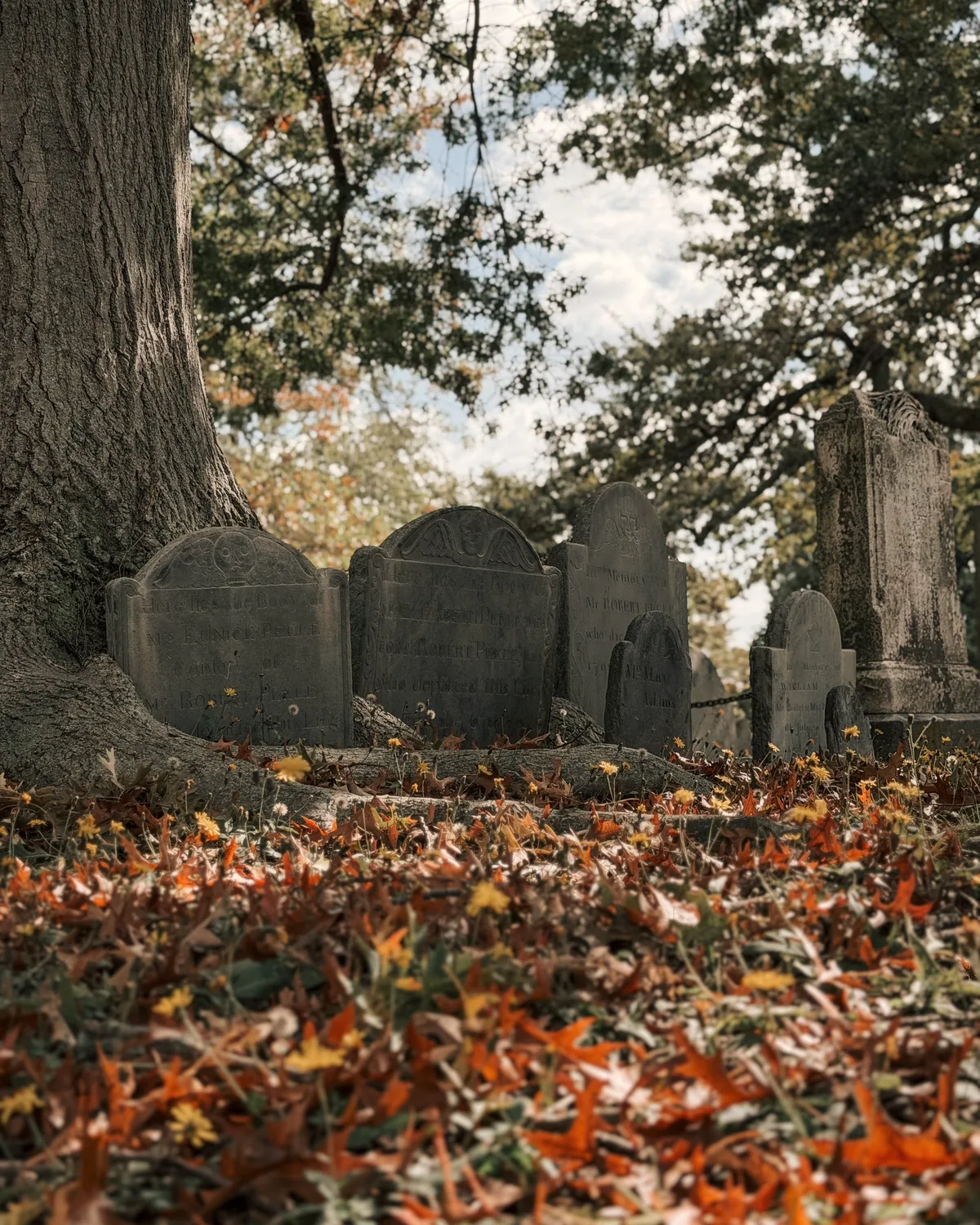 Old slate gravestones in a Salem cemetery, the ground covered in fallen autumn leaves
